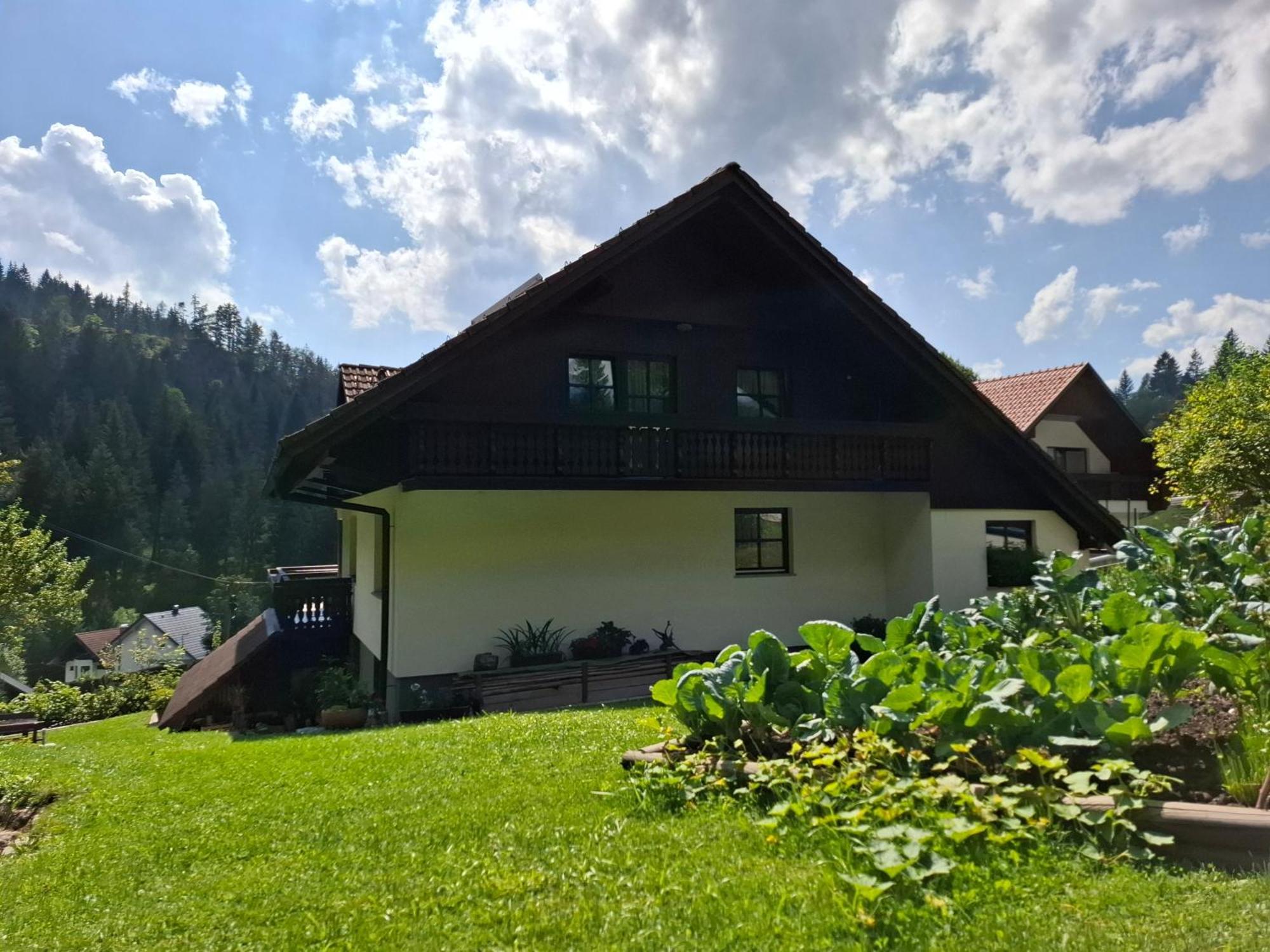 Apartma Cvrsta Trojka Jesenice Luaran gambar